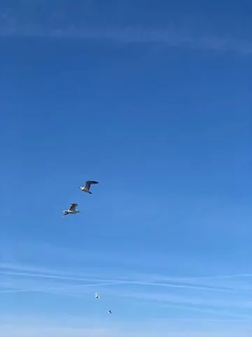 Sea View Panorama L Lejlighed Omiš